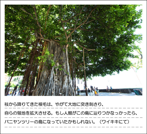 0630_VOL017