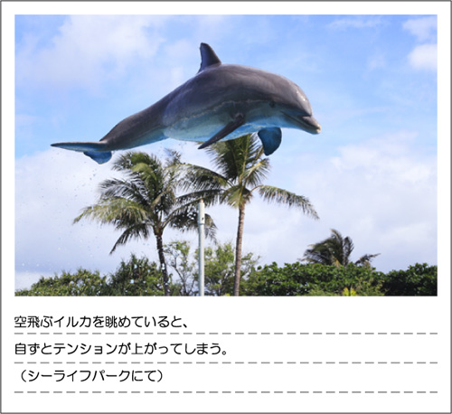 0804_VOL041