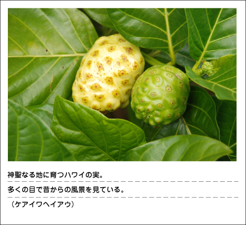 Ê^uO³0831