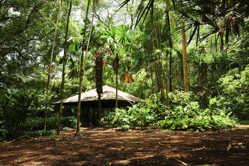 558_hawaii_500