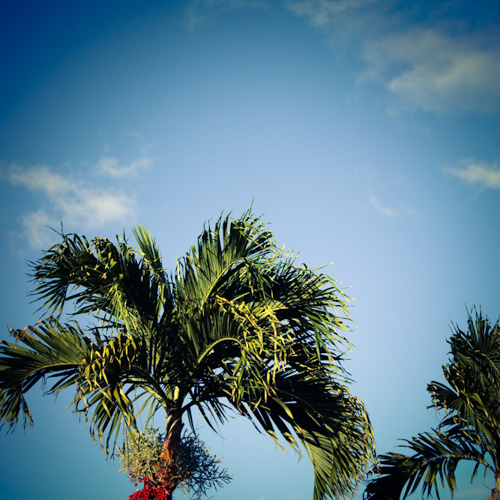 594_Hawaii_500