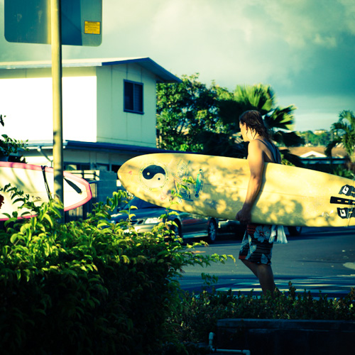 598_Hawaii_500