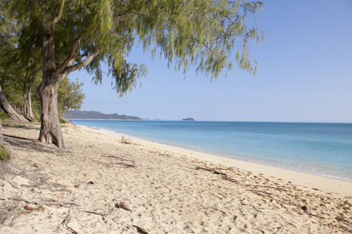 201303-N_Waimanalo_002+
