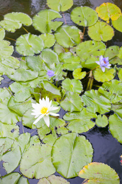 201306-N_image0605_018+