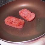 DSCN3261