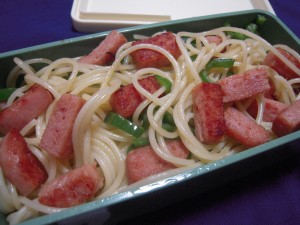 DSCN3293