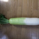 DSCF1156