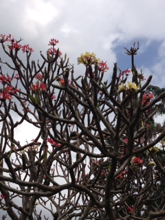 image03