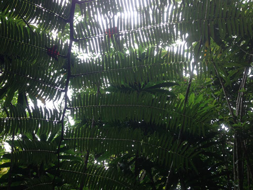 image5_500