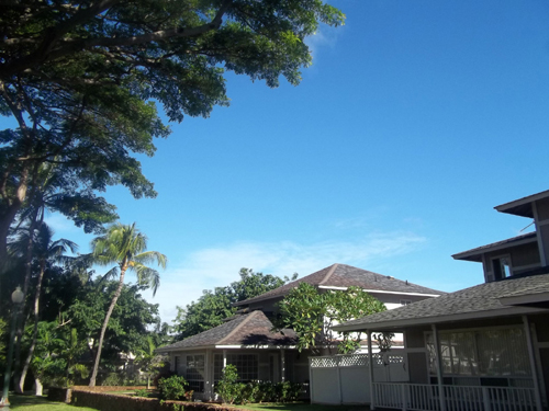 View1