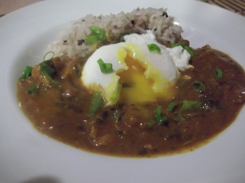 カレー11hawaii_500