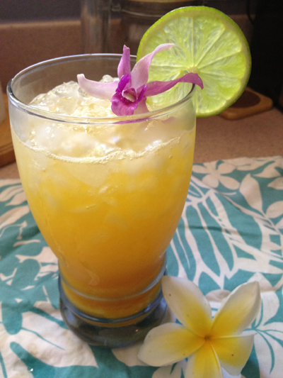 写真06hawaii_500