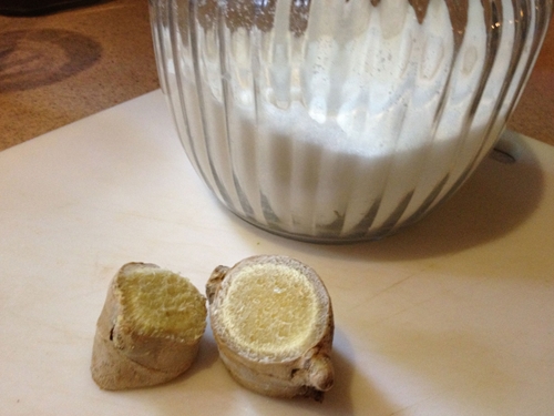 Ginger1_500