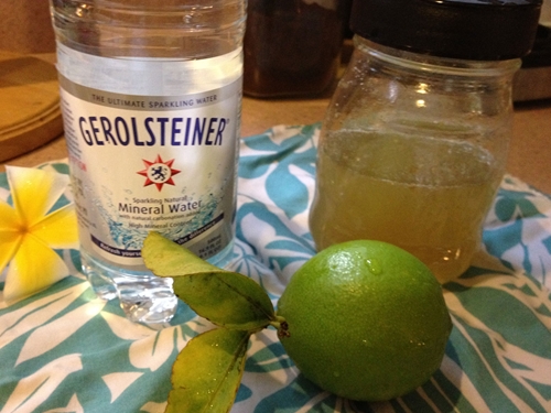 Ginger4_500
