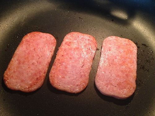 Spam1_500
