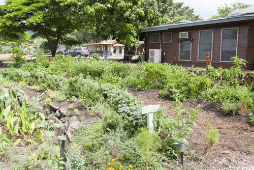blog_1_0711