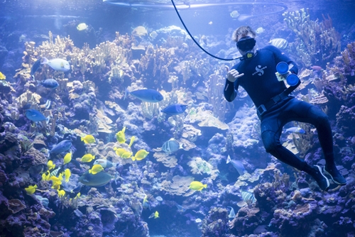 04-201212-S_Maui Ocean Center_155_500