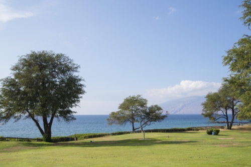 07-201212-S_Kihei Image_154_500