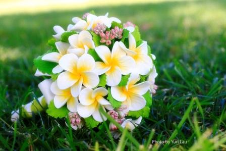 03-IMG_Plumeria_4