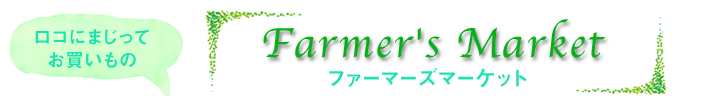 ショッピング_ハワイ