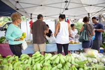 201103-h_makifa_016_210