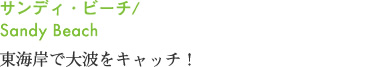 サンディ・ビーチ/Sandy Beach 東海岸で大波をキャッチ！