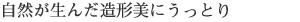 自然が生んだ造形美にうっとり