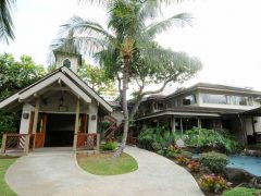 ウィローズ／The Willows