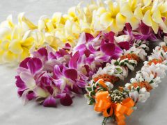 リンズ・レイ・ショップ／Lin's Lei Shop