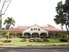 【オアフ島観光】バスで行く！オアフ島1日観光 （昼食付き）