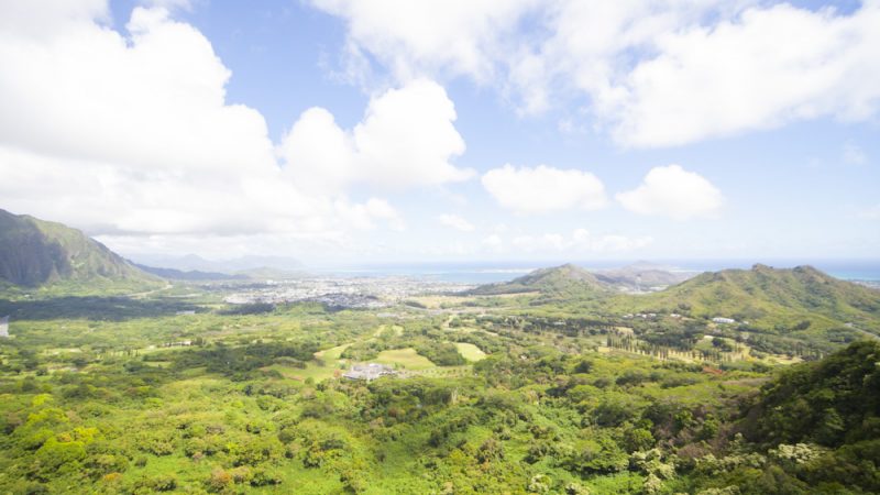 ヌアヌ・パリ展望台/Nuuanu Pali