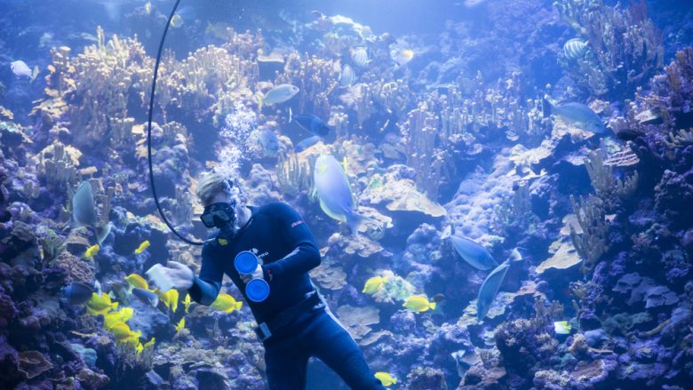 マウイ・オーシャン・センター／Maui Ocean Center