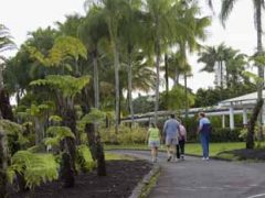 ナニ・マウ・ガーデン／Nani Mau Garden