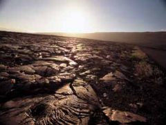 チェーン・オブ・クレーターズ・ロード／Chain of Craters Road