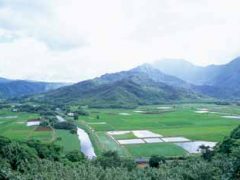 ハナレイ渓谷展望台／Hanalei Valley Lookout