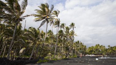 プナルウ・ブラック・サンド・ビーチ／Punaluu Black Sand Beach