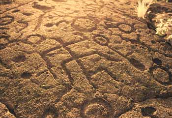 アナエホ・オマル・ペトログリフ／Anaeho-Omalu Petroglyphs