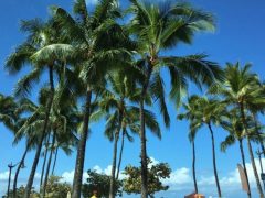 ワイキキビーチの砂補充