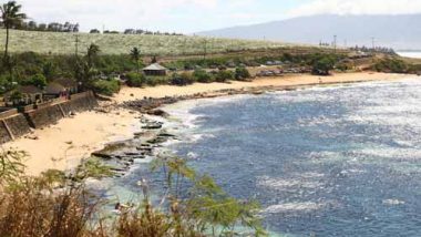 ホオキパ・ビーチ・パーク／Ho'okipa Beach Park