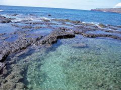 【ハワイを楽しむ50の方法】　Vol.06　俗世を離れた「静寂の島」ラナイ