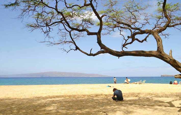 ビッグ&リトルビーチ/Big and Little Beach