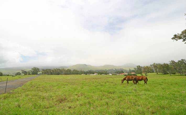 パーカー牧場／Parker Ranch