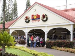 ドール・プランテーション／Dole Plantation