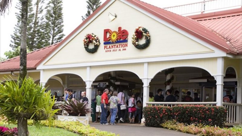 ドール・プランテーション/Dole Plantation
