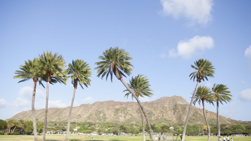 カピオラニ公園/Kapiolani Park