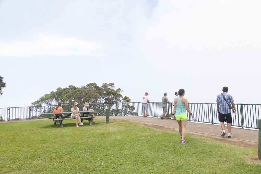 カララウ展望台/Kalalau lookout