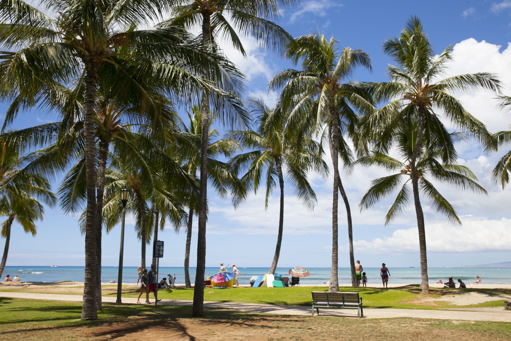 カピオラニ公園／Kapiolani Park