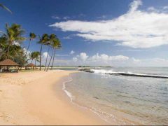 ソルト・ポンド・パーク／Salt Pond Beach Park