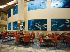 巨大な水槽のあるレストラン「オーシャナリウム（Oceanarium restaurant）」