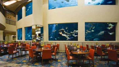 巨大な水槽のあるレストラン「オーシャナリウム（Oceanarium restaurant）」